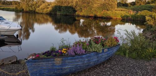 Glamping Pod Thady Killynick County Fermanagh