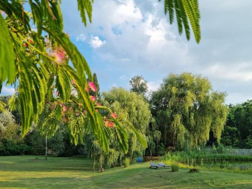 Cottage im Natur-Resort Pool, Schwimmteich & Sauna