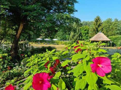 Cottage im Natur-Resort Pool, Schwimmteich & Sauna