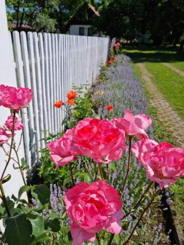 Cooles Lofthouse mit Pool