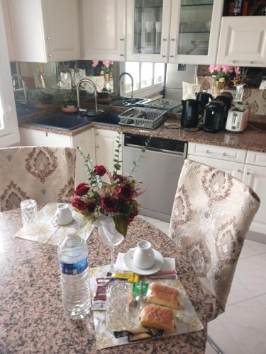 Удобства, PARADIS CHAMBRES D'HOTES PROCHE PARIS - AEROPORT CHARLES DE GAULLE AIRPORT - PARC DES EXPOSITION VIL in Трембле-ен-Франс