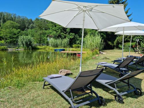 Reethouse Nature Resort - Pool Sauna Swimming pond