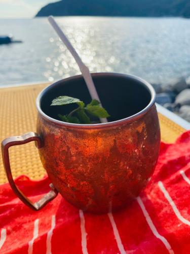 il Nido sul mare con accesso diretto alla spiaggia