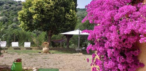 DIMORA IL CAMALEONTE country apartments with pool