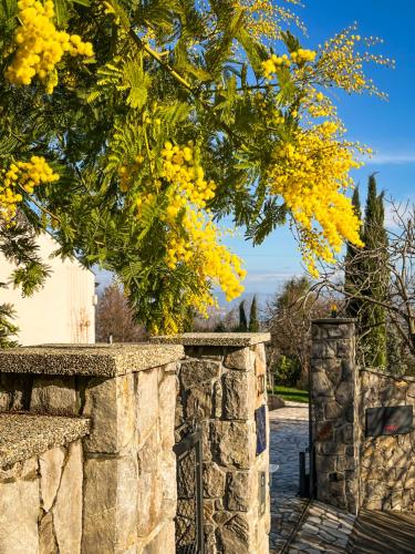 Domizil Opatija A&N, Villa mit Pool, Wohlfühloase mit Meerblick