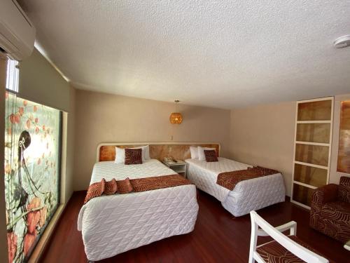 Hotel Medrano Temáticas and Business Rooms Aguascalientes