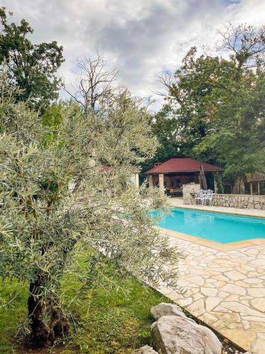 Domizil Opatija A&N, Villa mit Pool, Wohlfühloase mit Meerblick