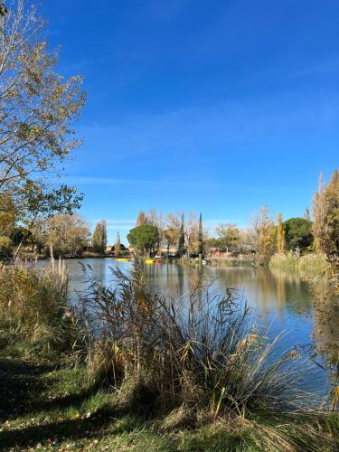 Arles Camargue - Location saisonnière - Arles