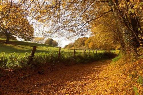 A környék, Meerbeek Unwind in Kortenberg