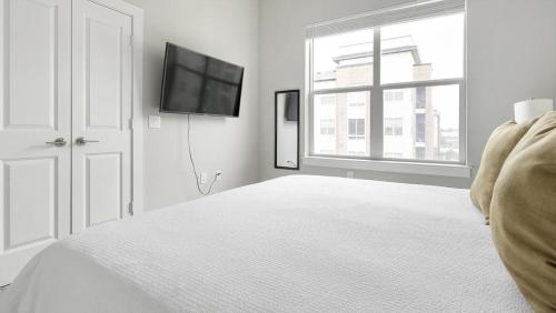 Landing Modern Apartment with Amazing Amenities ID1802X53 in Austin, USA