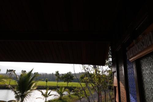 DGD Chiangmai Room Type - Budget Double Room