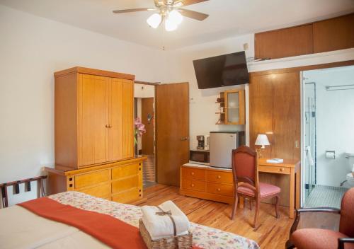 Chalet del Carmen, Coyoacan