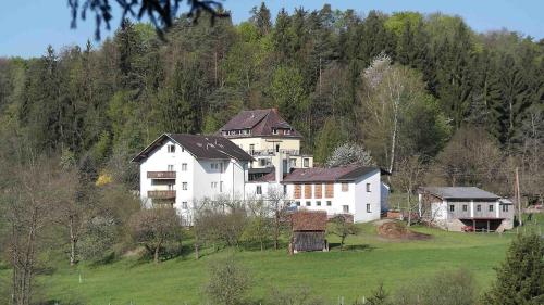 蘭德豪斯瓦德費登住宿加早餐旅館 (Landhaus Waldfrieden) in 拉斯尼宗赫