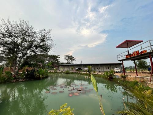 Surrounding environment, Check-In Resort in Mueang Chai Nat