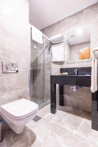 Valens Hotel Downtown, Istanbul (photo 7)