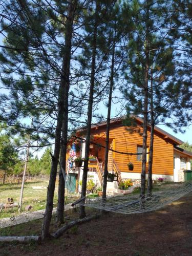 Anita`s home - Accommodation - Ohrid