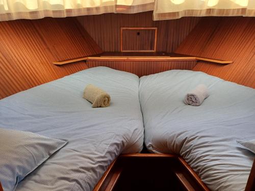 Motor Yacht Amstelle, Amsterdam (photo 8)