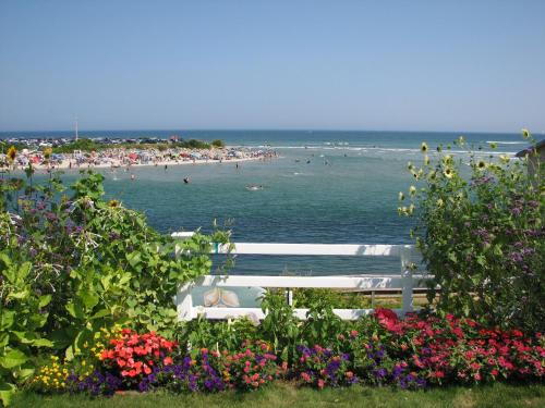 Terrace By The Sea