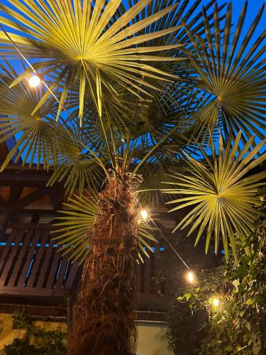 Szent Anna Panzió - image 5