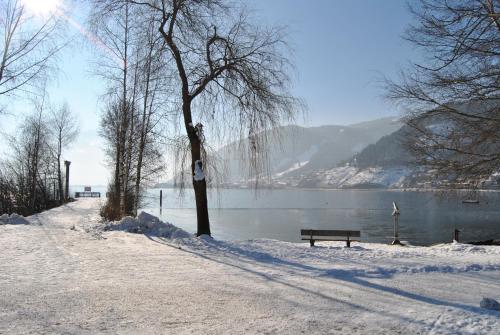 Ferienhaus am See