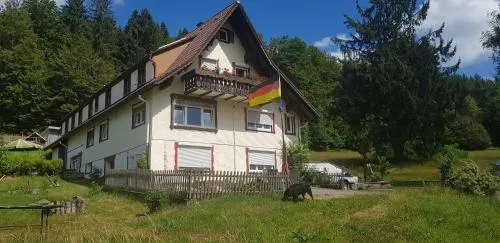 Ferienhof Ziegler- Sonnenschein in Baiersbronn, Deutschland