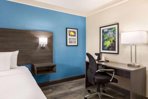 La Quinta Inn by Wyndham San Antonio I-35 N at Toepperwein - image 14