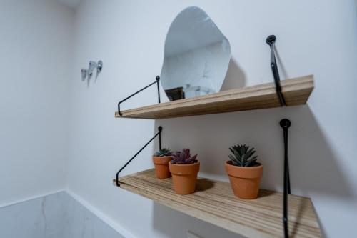 One-Bedroom Apartment image 10