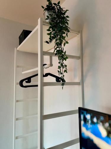 Le Bright'n Cosy | Studio en plein centre de Mulhouse - image 7