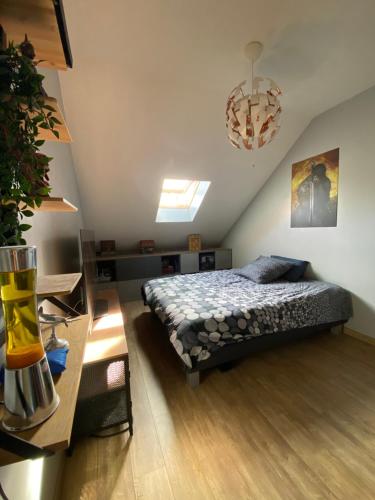 Chambre en duplex, entrée autonome, SDB privative - Pension de famille - Taverny