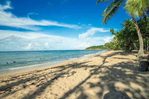 Beach View Appart , Tartane , Martinique - Location saisonnière - La Trinité
