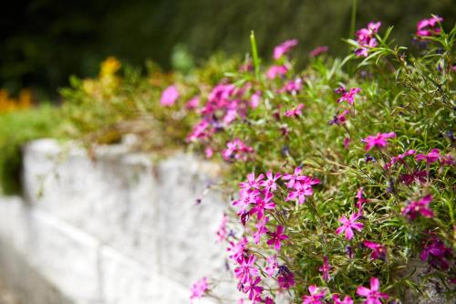 Hotel Hubertushof - Ihr Hotel mit Herz - image 7