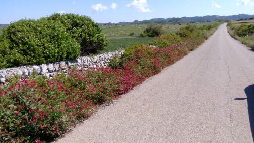 Villa Launa en Port d' Addaia