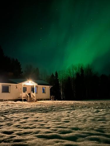 Swedish Lapland Home, Garden & Forest
