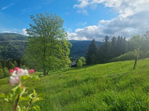 Chalet Terejo & spa 2