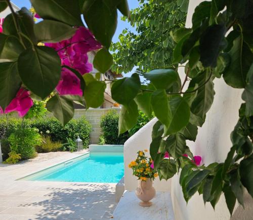 CASADÔ