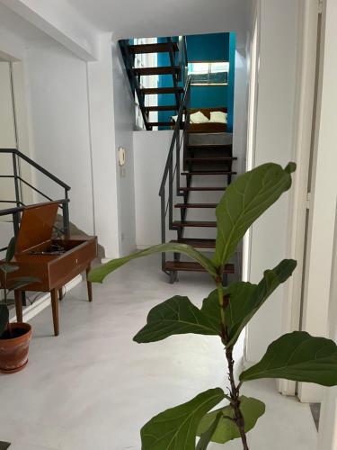 Casa Maure