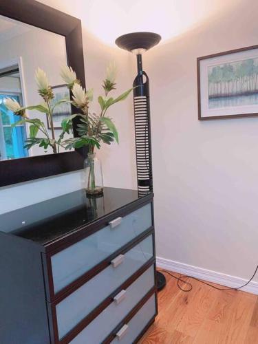 4 bds-3bths- 12 minutes to Dulles Airport in Sterling, USA