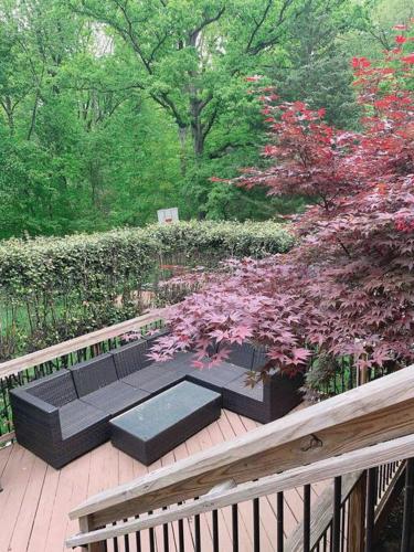 4 bds-3bths- 12 minutes to Dulles Airport in Sterling, USA