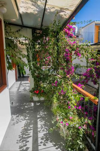 Casa El Errante - image 3