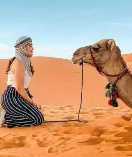 Desert Paradise Luxury Camp