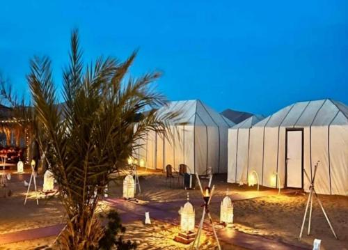 Desert Paradise Luxury Camp