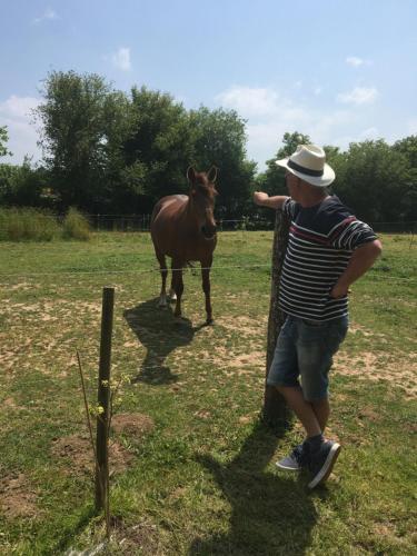 Baie Normandie Cottage Vue Poneys 40min Mt St Michel 30min Mer Draps Serviettes