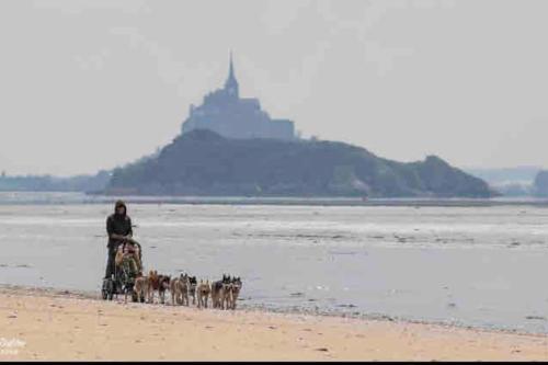 Baie Normandie Cottage Vue Poneys 40min Mt St Michel 30min Mer Draps Serviettes