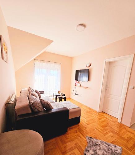 Apartman Iva in ราซัดนิก