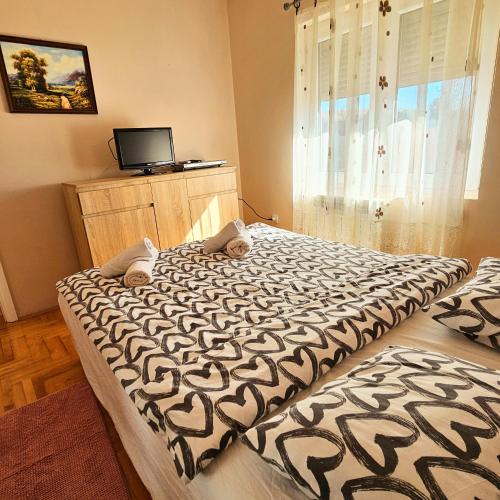 Apartman Iva in ราซัดนิก