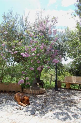 Agriturismo Fonte di Maroglio