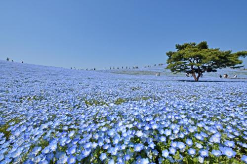 Hidden Photogenic Experience customized for YOUR interests with Camping Rental - Not Typical Tour