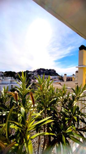 SUNSET GARDEN - Roof Top 45 m2 Vue Mer / Cap Canaille SUNSET GARDEN - Roof Top 45 m2 Vue Mer / Cap Canaille