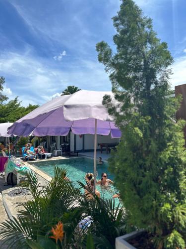 Samui Backpacker Hotel in Koh Samui