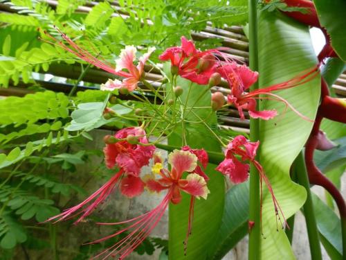 EL NIDO, Lugadia, Concrete House with Small Garden